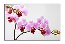 Obraz Orchid zs24831